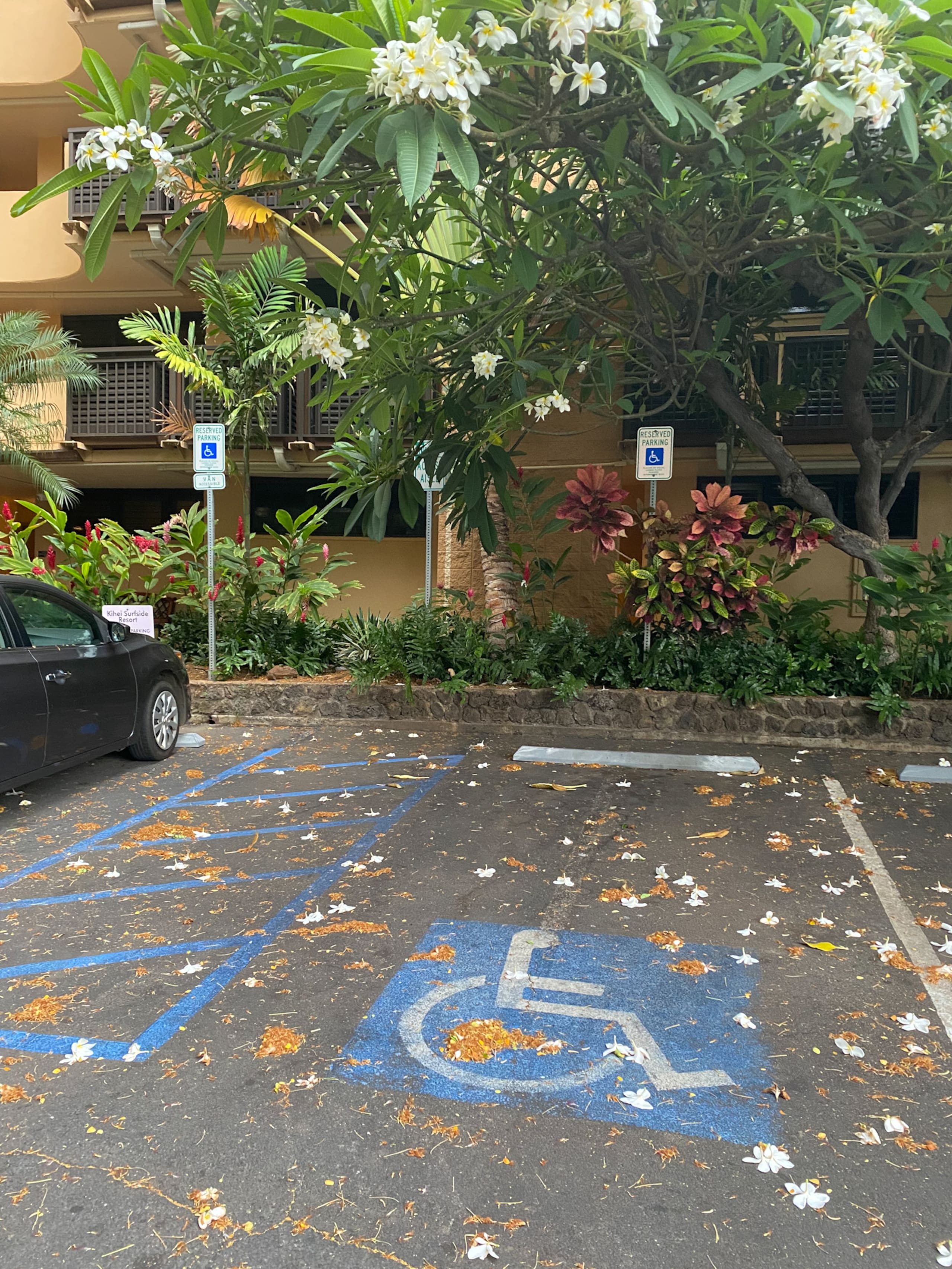 Kihei Surfside 108 - Ground Floor - Oceanfront -AC - Image 44