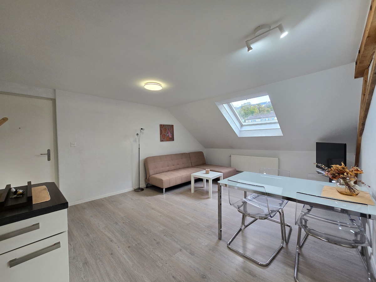 A bright living space features a comfortable sofa and a modern glass dining table surrounded by transparent chairs. Natural light fills the room through a skylight, highlighting the light wood flooring and simple decor.