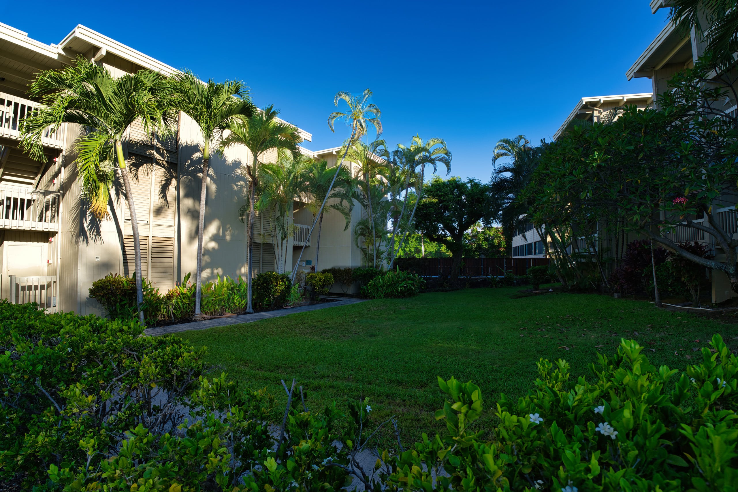 Condo in Kailua-Kona · ★5.0 · 1 bedroom · 2 beds · 1 bath - Image 29