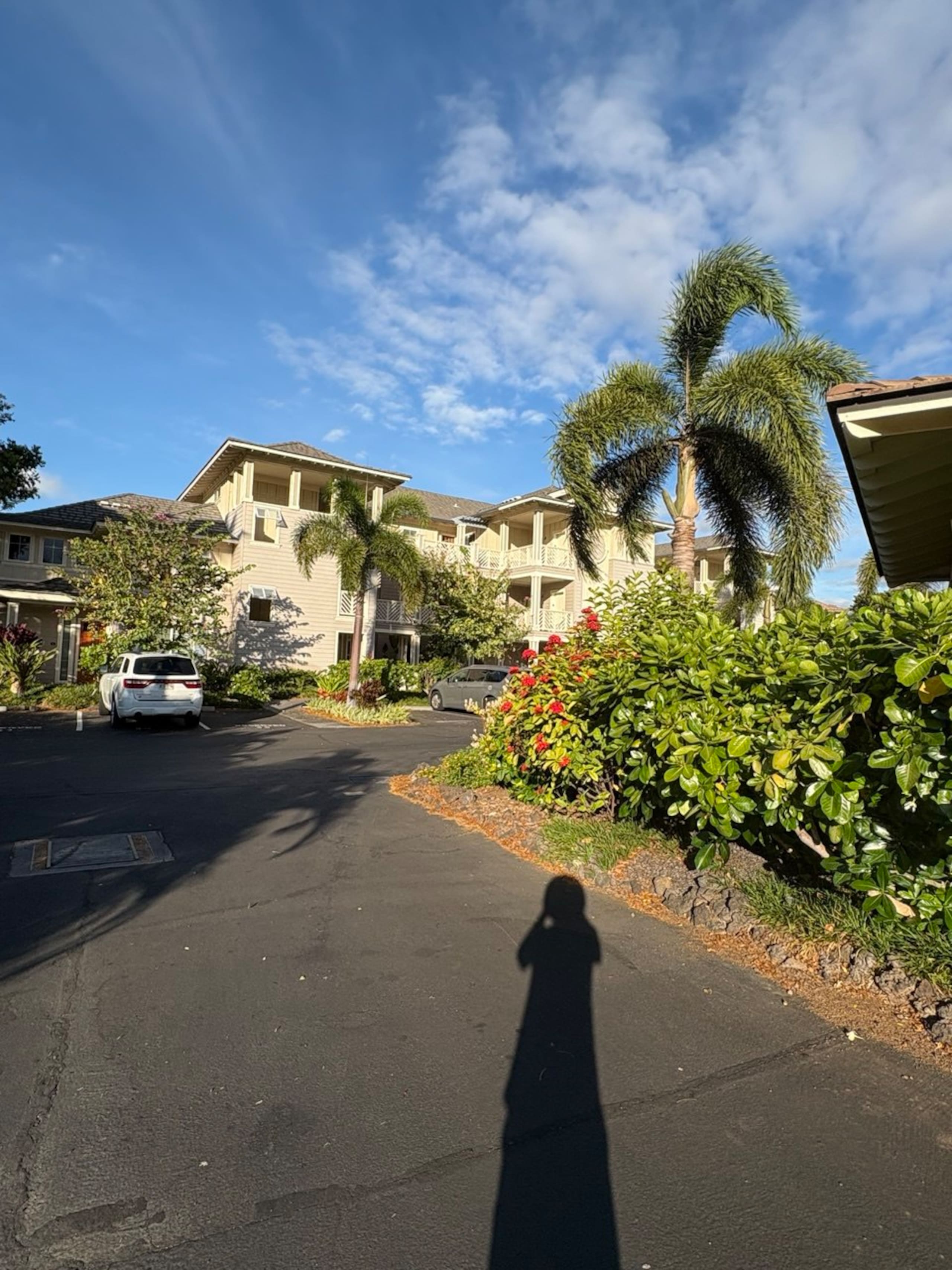 Updated, 1st Floor, Hilton Pool, Sunset Views - Photo 114