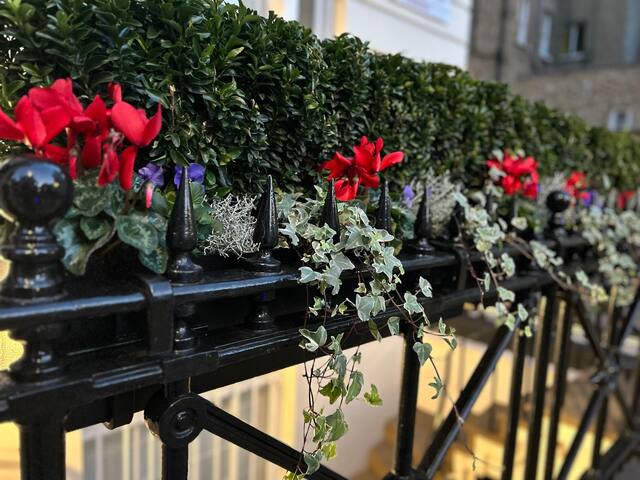 Knightsbridge family home with Light & Space gallery image 4