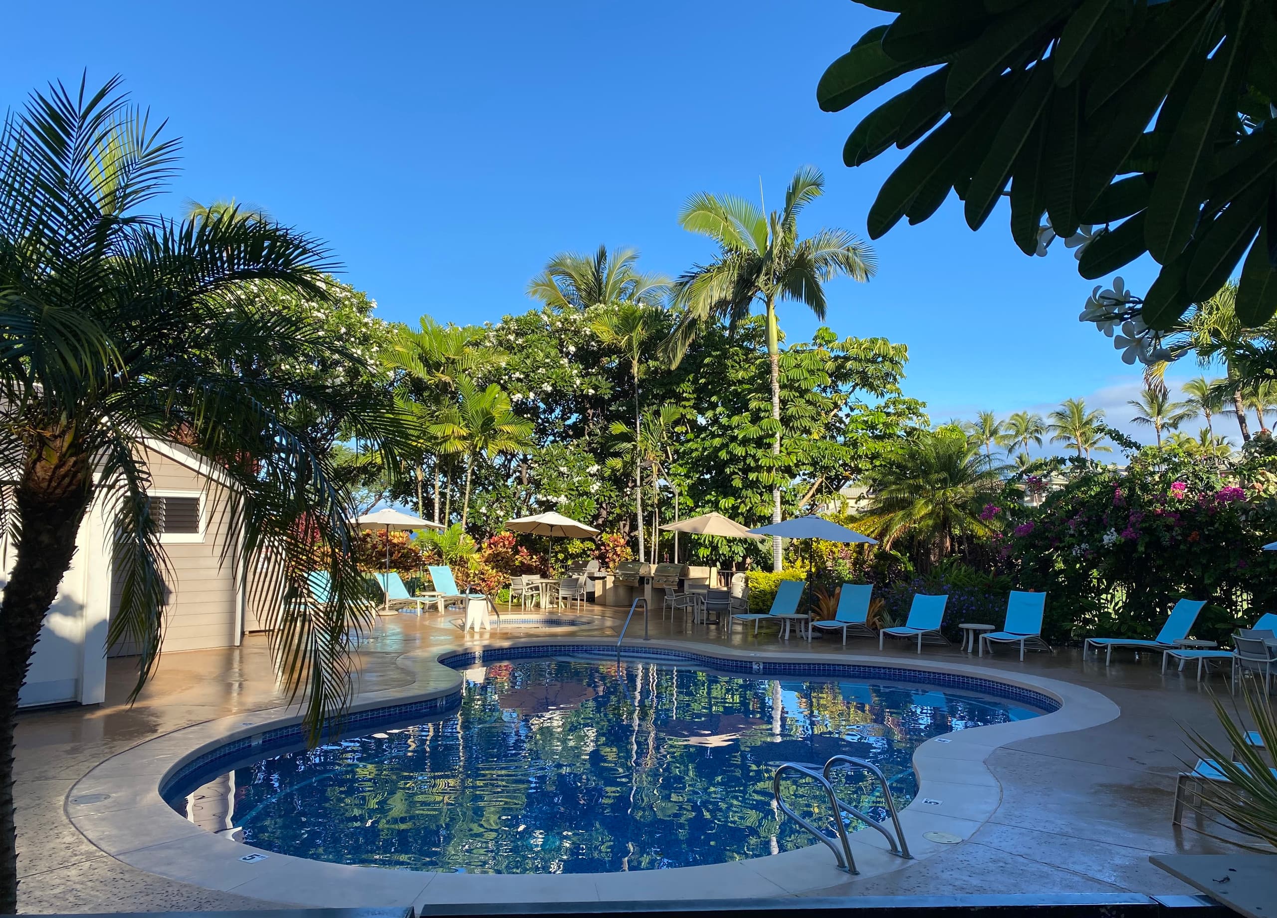 Condo in Wailea · ★5.0 · 1 bedroom · 1 bed · 2 baths - Image 20