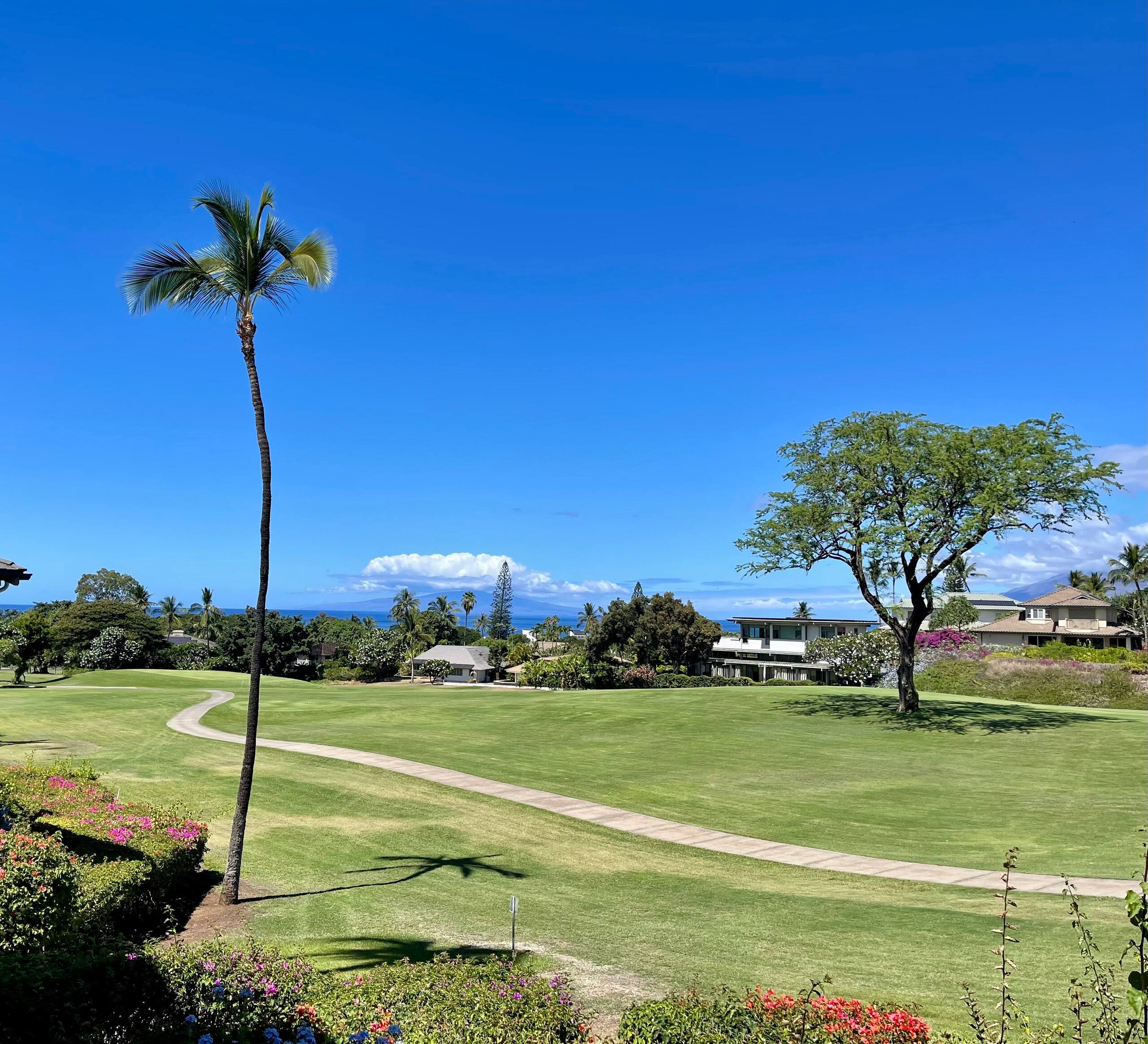 Condo in Wailea · ★5.0 · 1 bedroom · 1 bed · 2 baths - Image 25