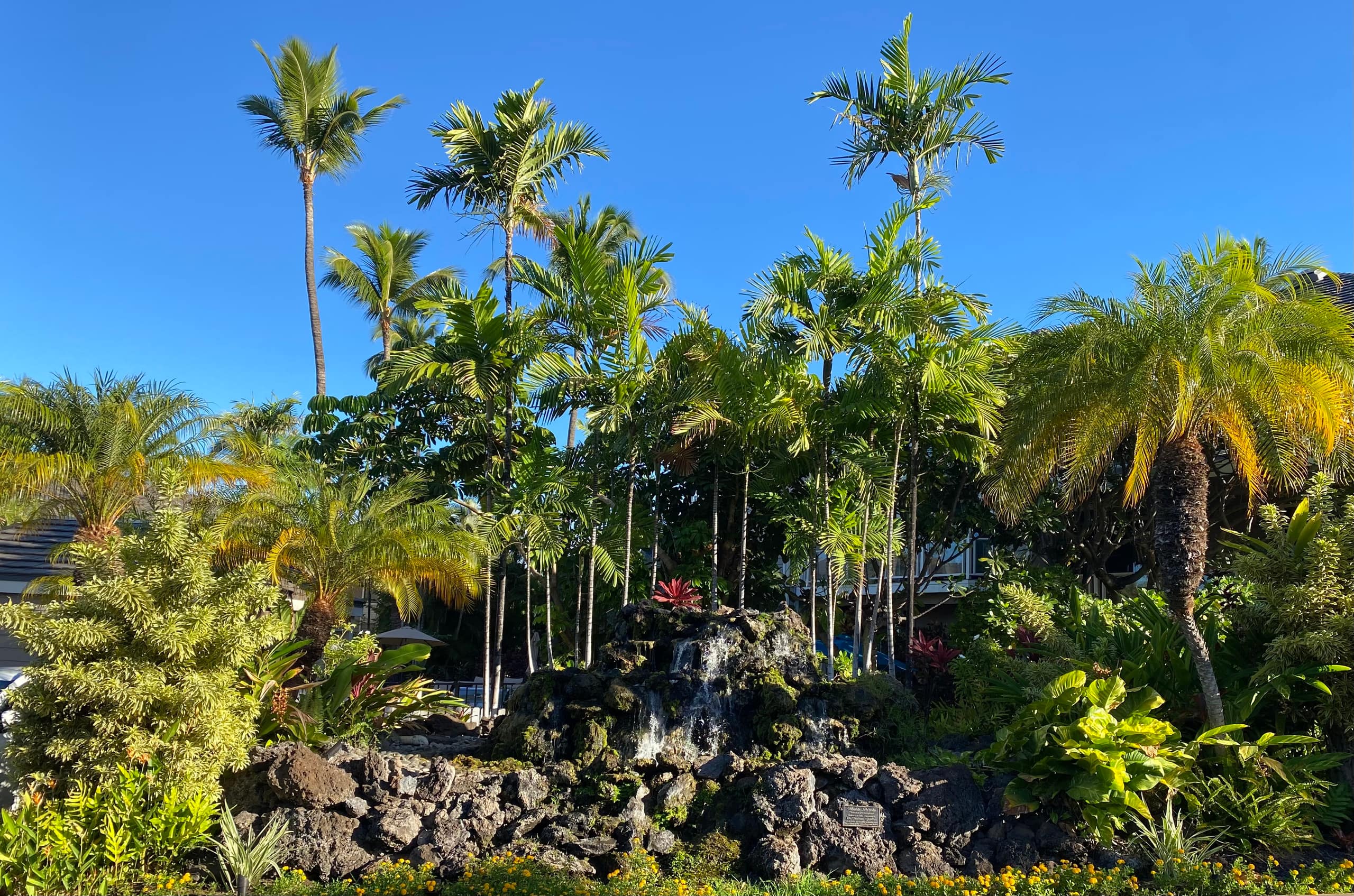 Condo in Wailea · ★5.0 · 1 bedroom · 1 bed · 2 baths - Image 26