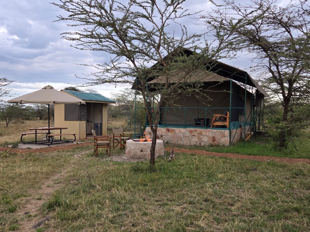 A spacious safari tent is set amidst a green landscape, featuring a covered porch with chairs. Nearby, a picnic area includes a table with an umbrella. A fire pit is positioned on the ground, surrounded by wooden safari chairs, enhancing the outdoor experience.