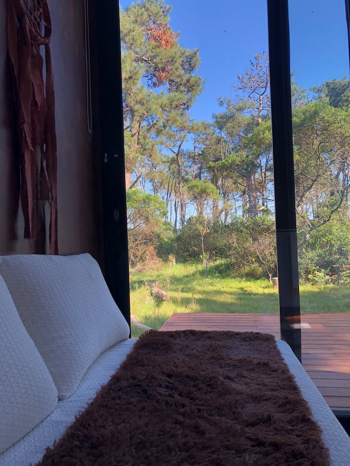 Sala