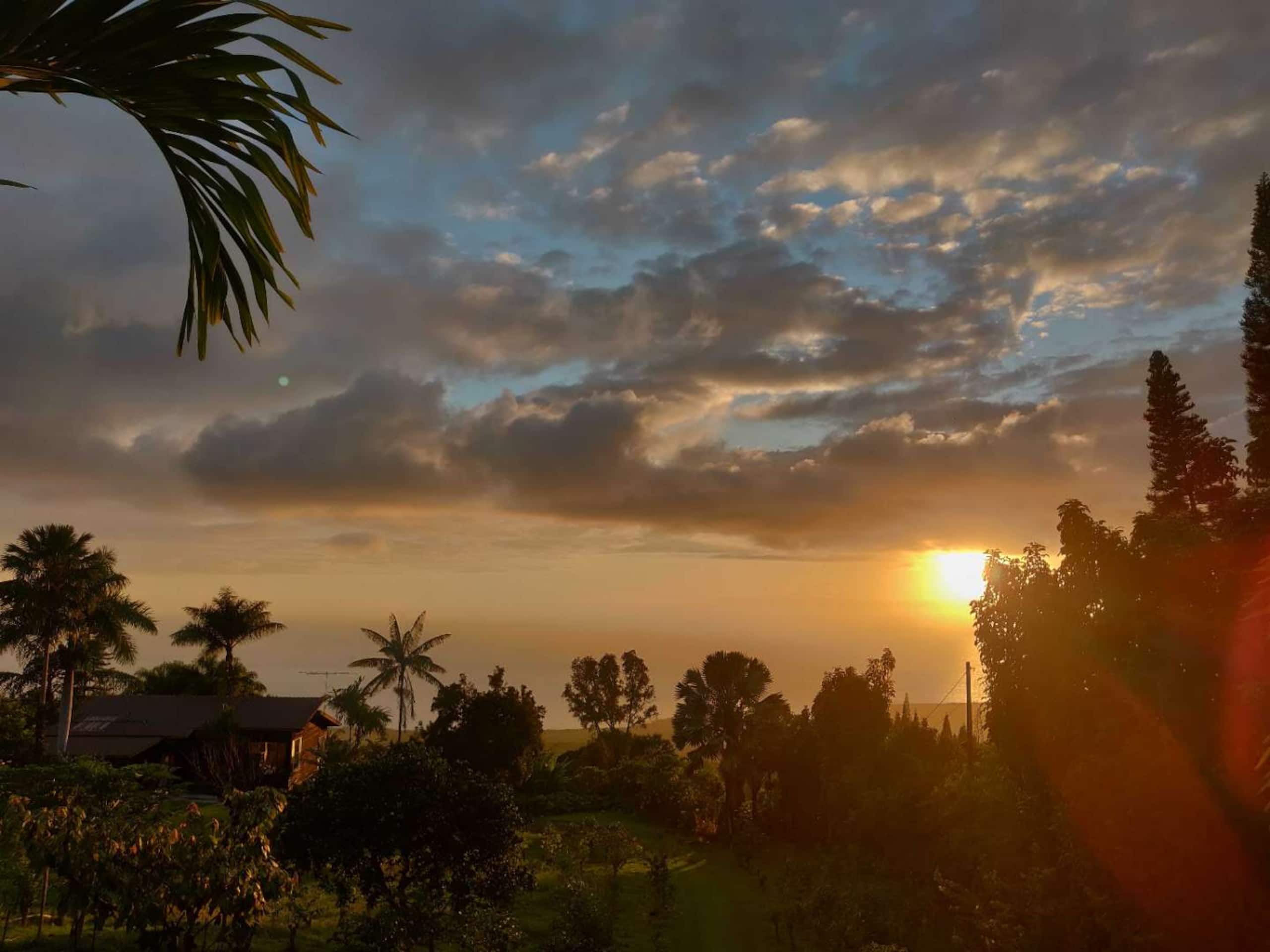 Coffee Farm Retreat - Image 6