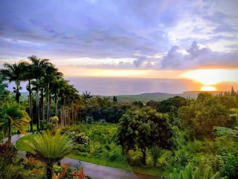 Coffee Farm Retreat