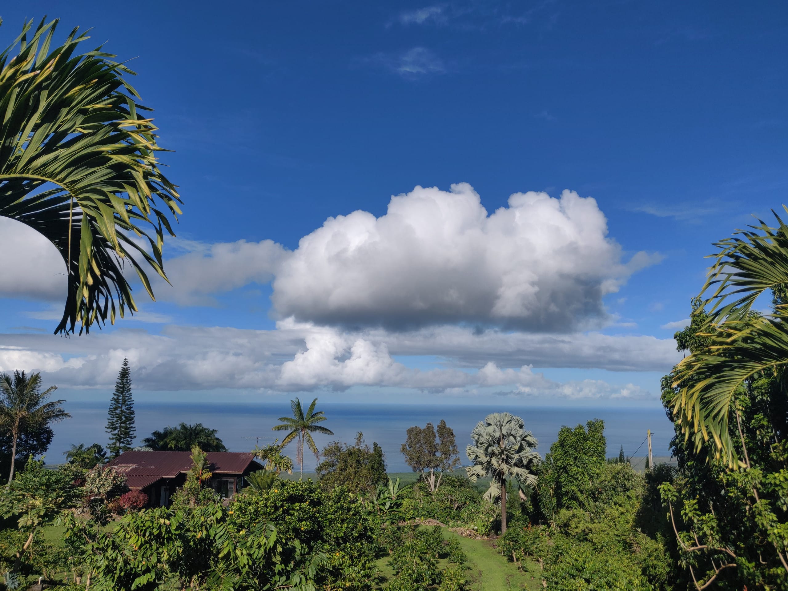 Coffee Farm Retreat - Image 3