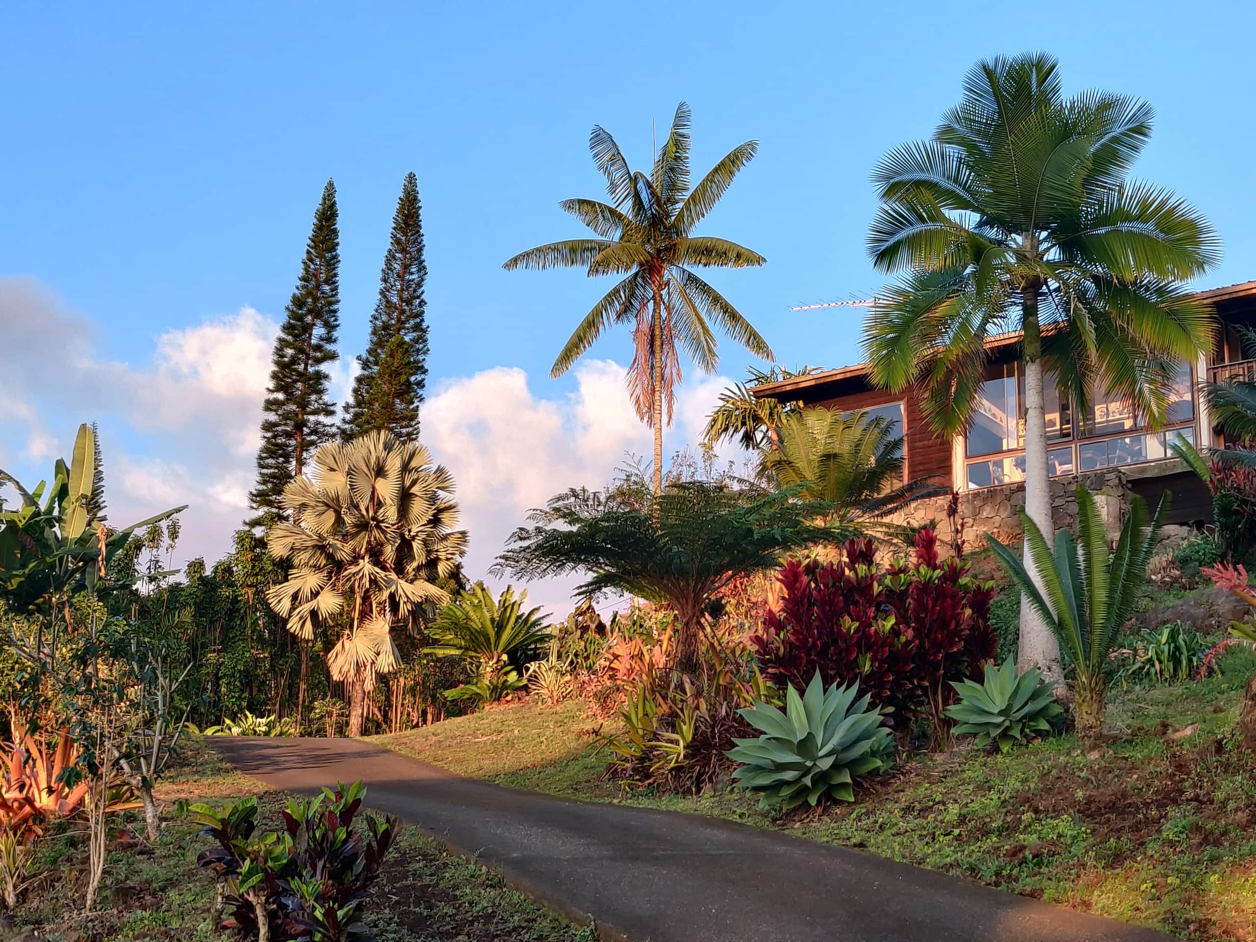 Coffee Farm Retreat - Image 2
