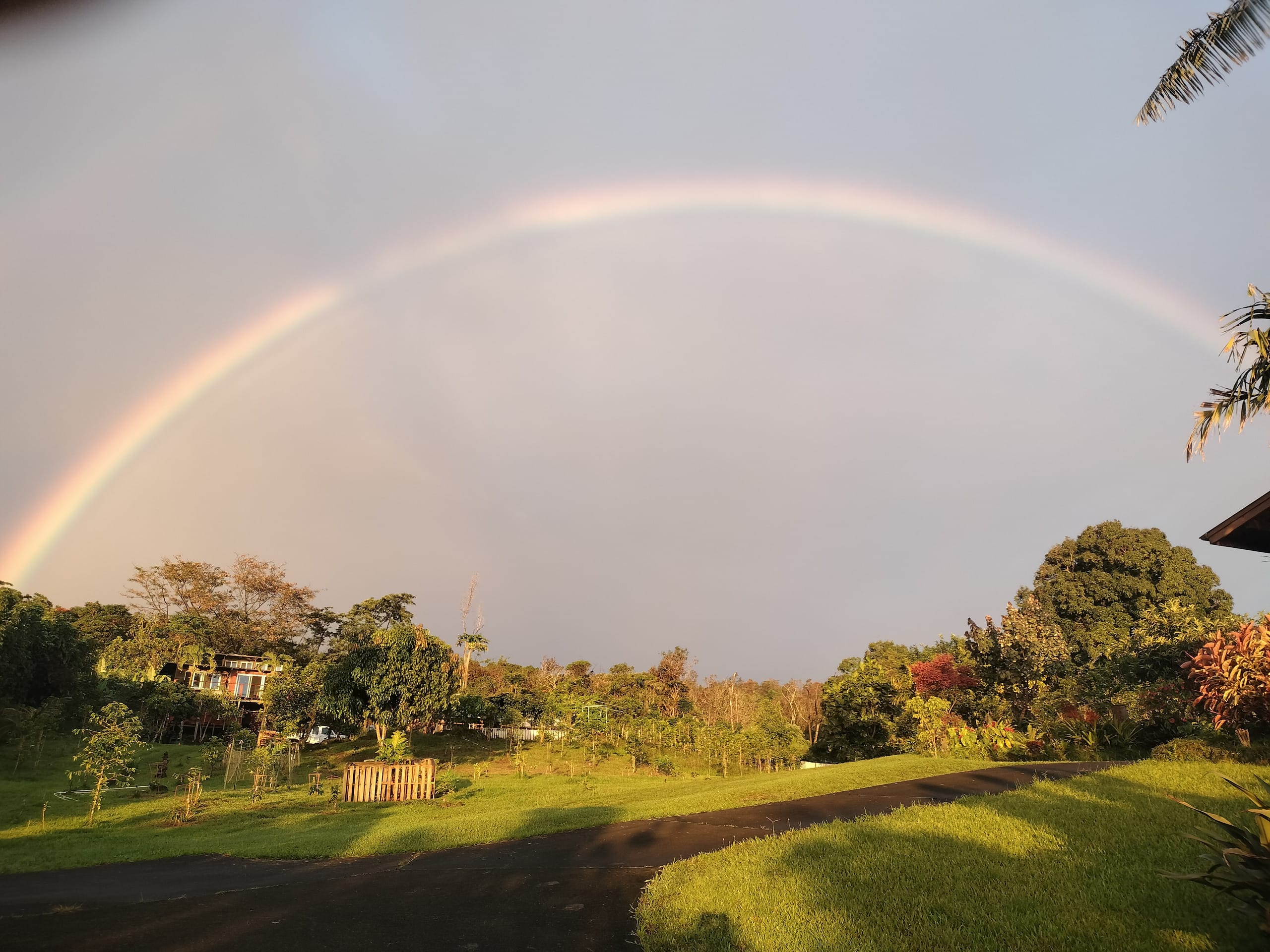 Coffee Farm Retreat - Image 8