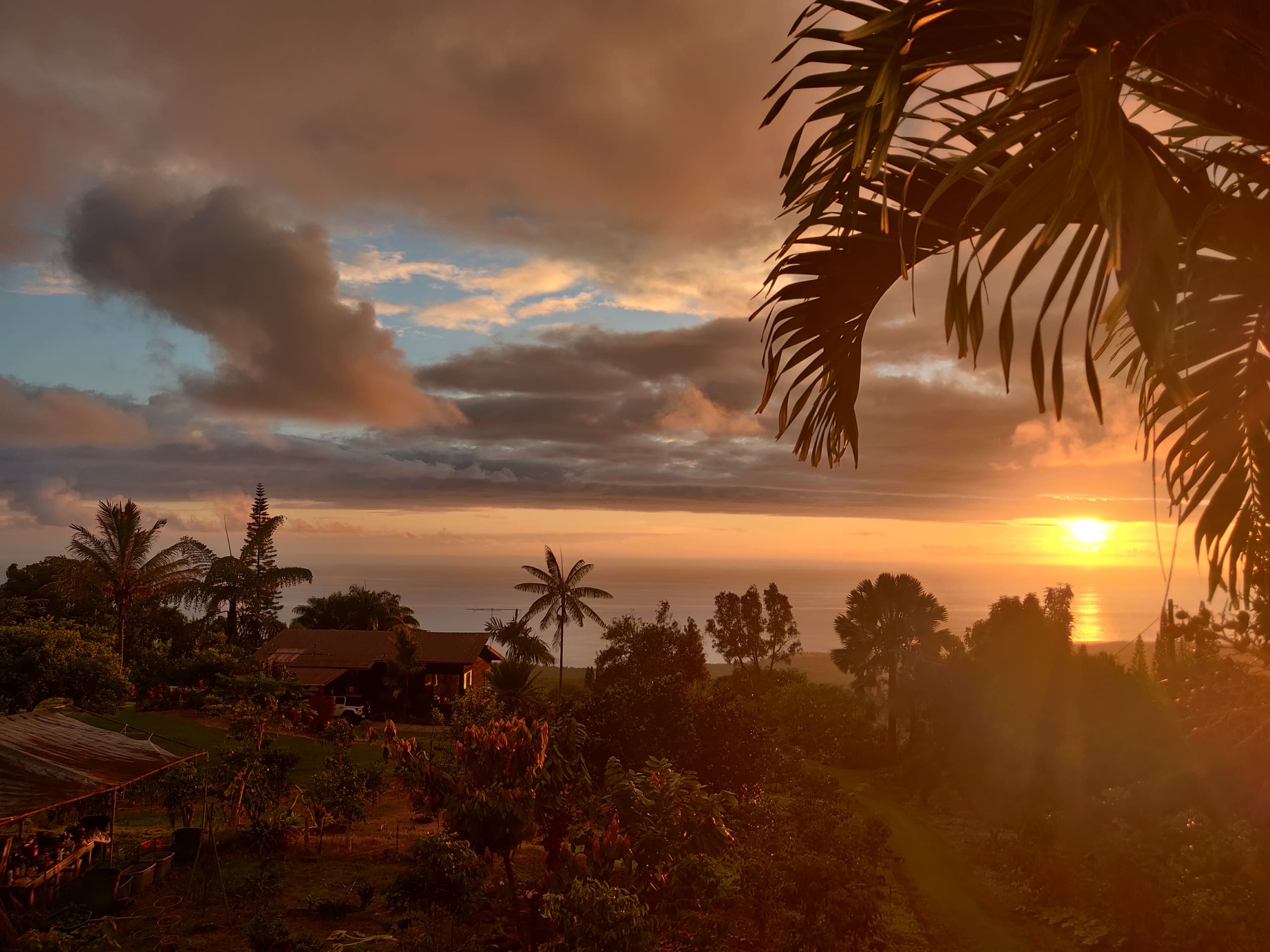 Coffee Farm Retreat - Image 7