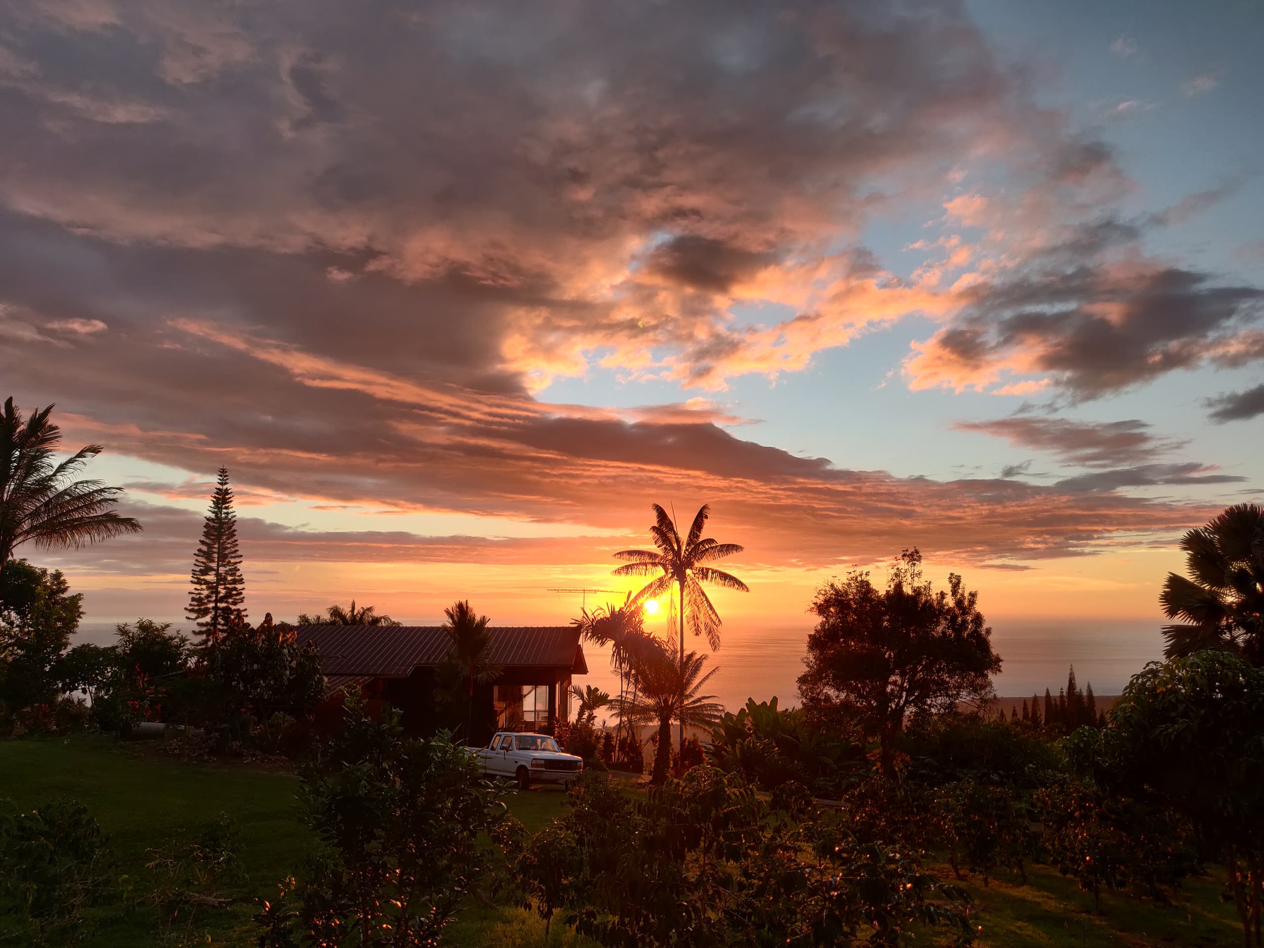 Coffee Farm Retreat - Image 5