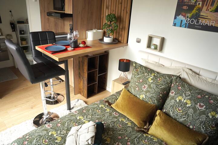 Gîte : Studio Alsa 15 Avec Jacuzzi Privatif - Colmar