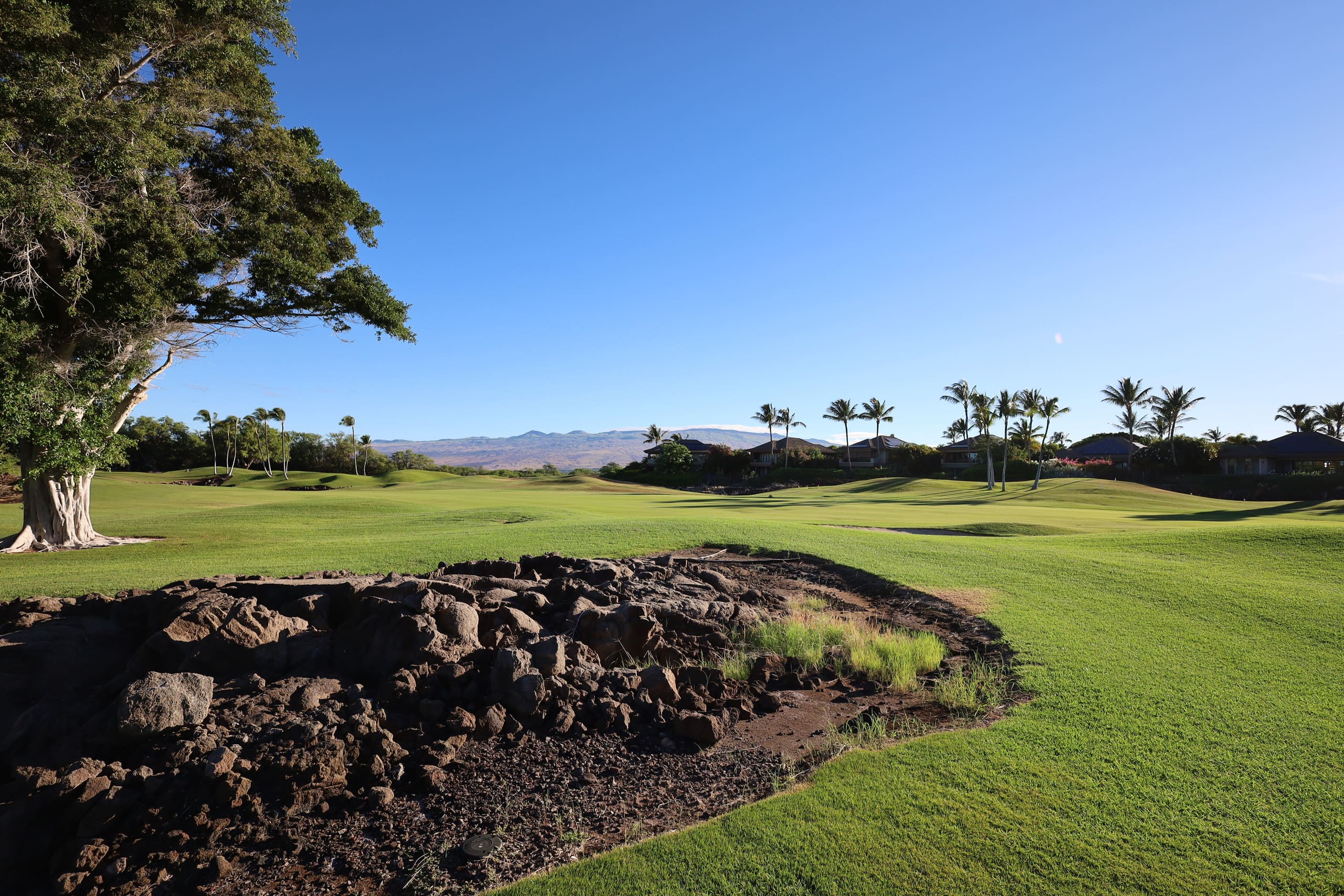 Townhouse in Waimea · ★5.0 · 2 bedrooms · 3 beds · 2 baths - Image 61