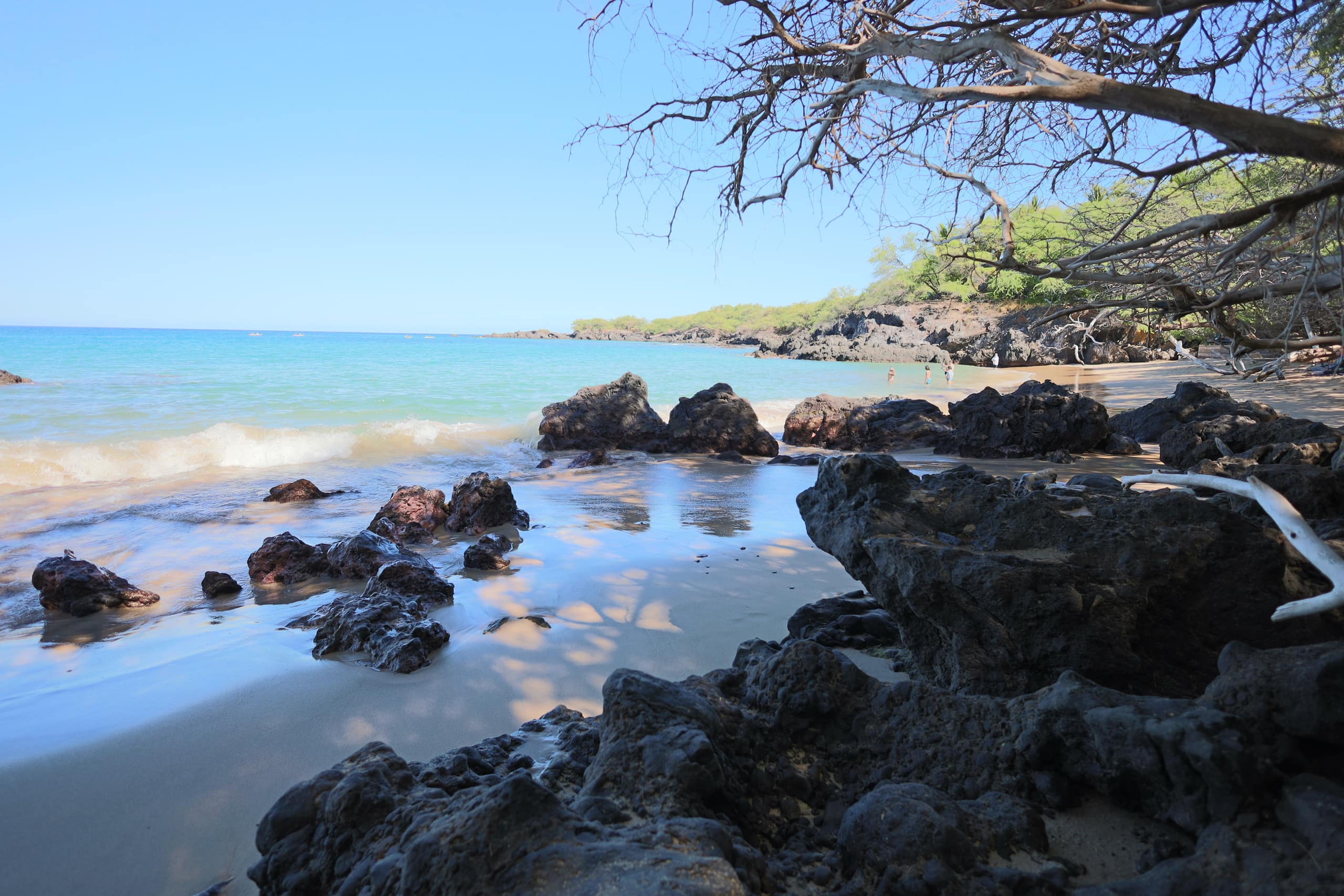 Townhouse in Waimea · ★5.0 · 2 bedrooms · 3 beds · 2 baths - Image 56