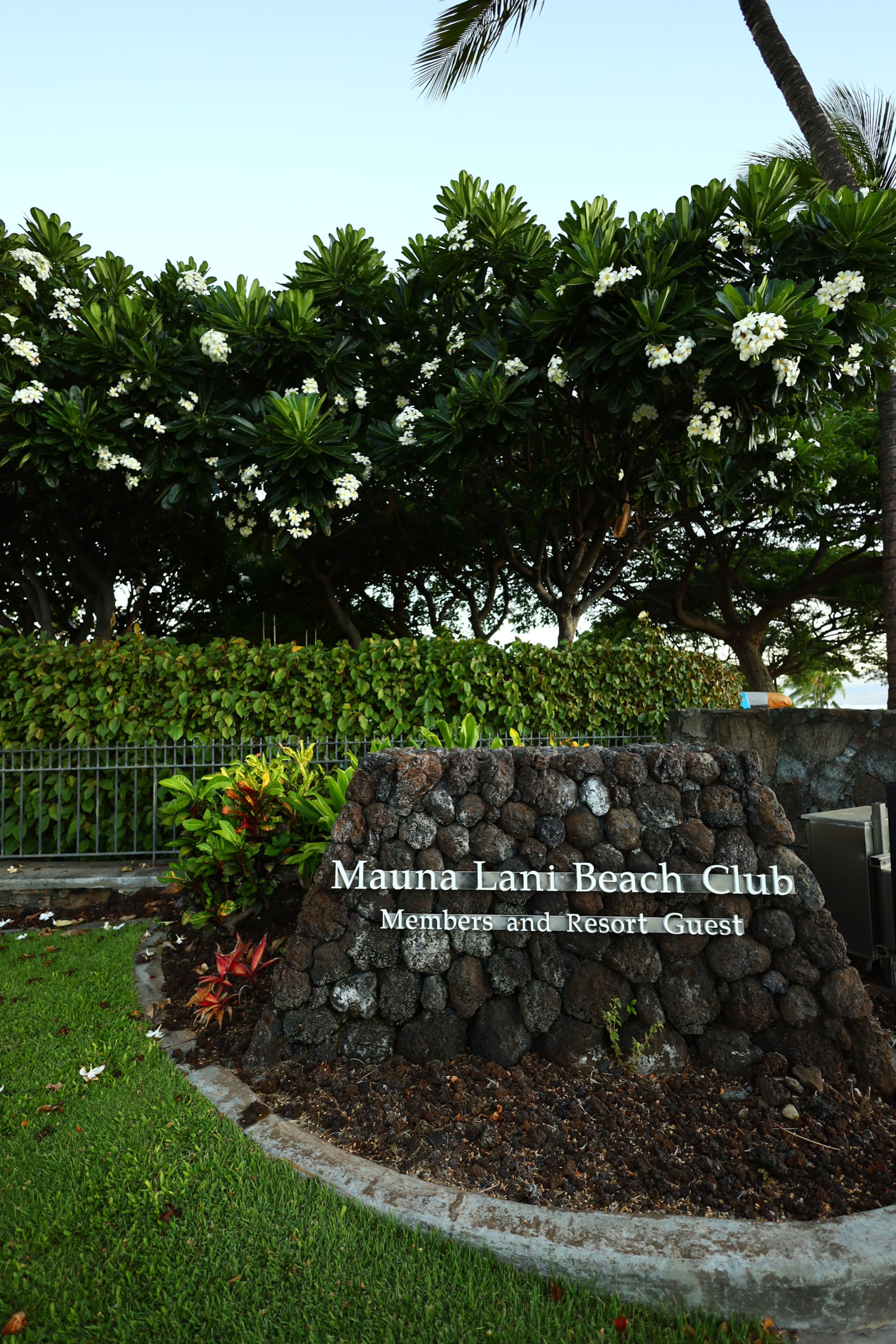Townhouse in Waimea · ★5.0 · 2 bedrooms · 3 beds · 2 baths - Image 44