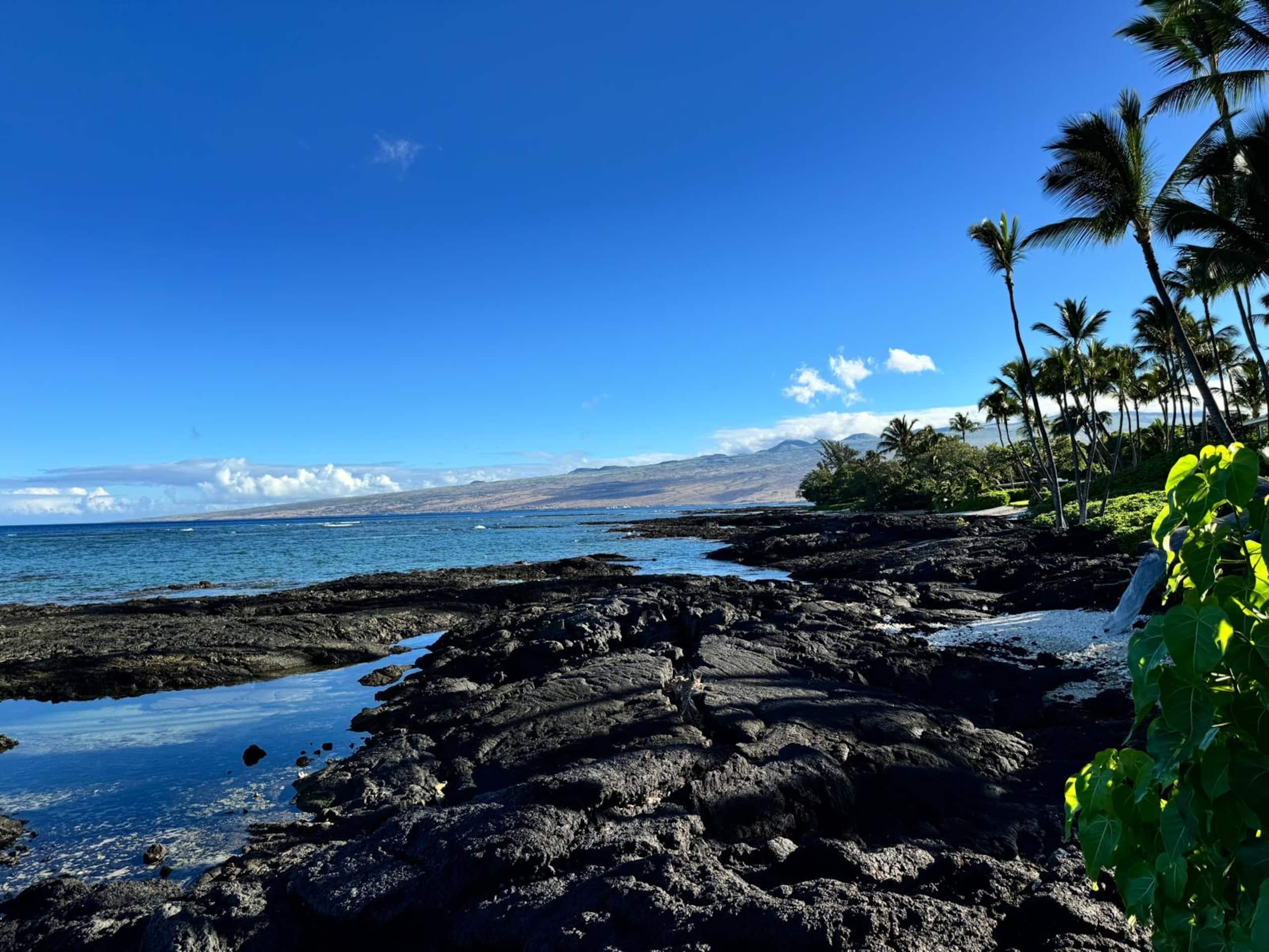 Townhouse in Waimea · ★5.0 · 2 bedrooms · 3 beds · 2 baths - Image 57