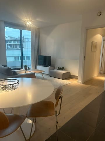 Luxury Apartment close to European Parliament