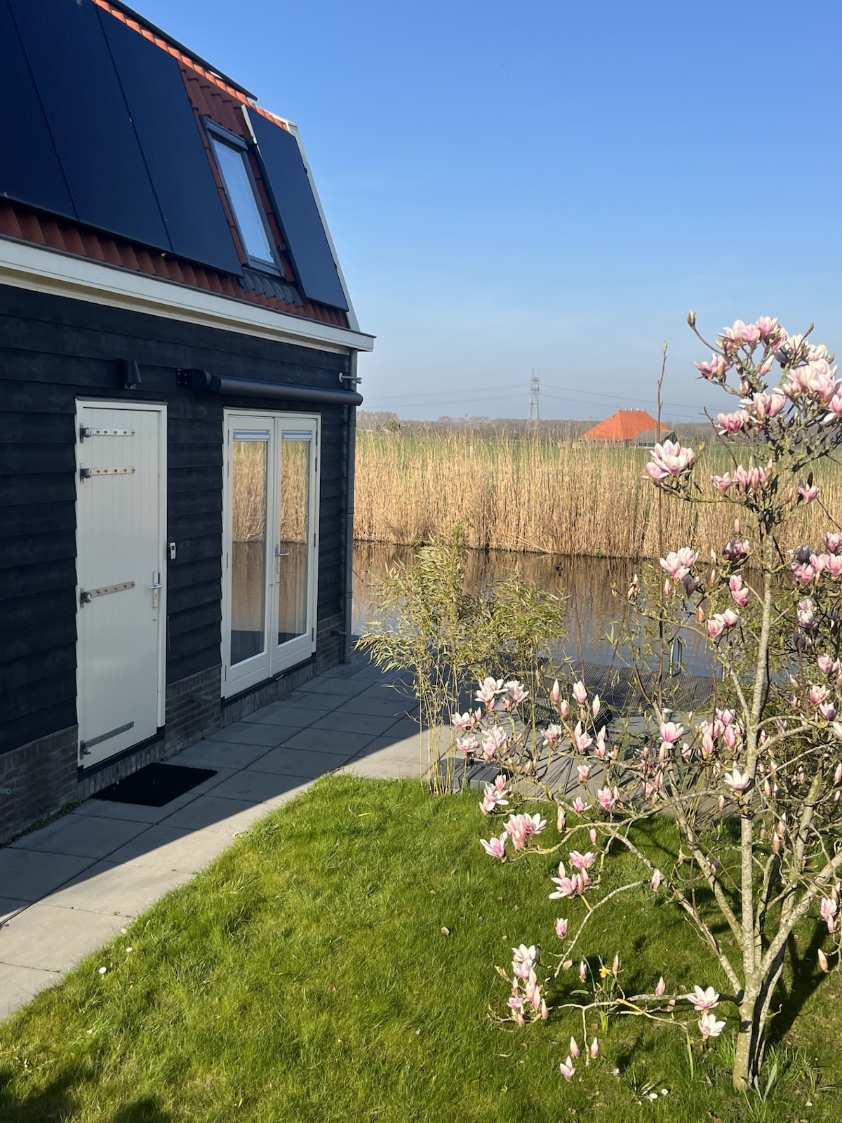 A charming entrance is shown, featuring a white door beside large glass doors. A well-maintained garden area includes a flowering magnolia tree, while the peaceful waterside view against a backdrop of reeds can be seen in the distance.