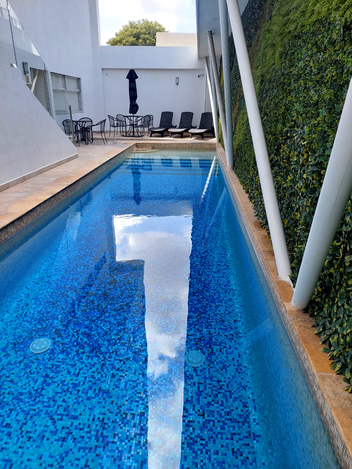 A narrow swimming pool reflects the sky above, lined with blue mosaic tiles. To one side, lounge chairs are arranged under a large umbrella, while a wall covered in greenery adds a natural contrast.