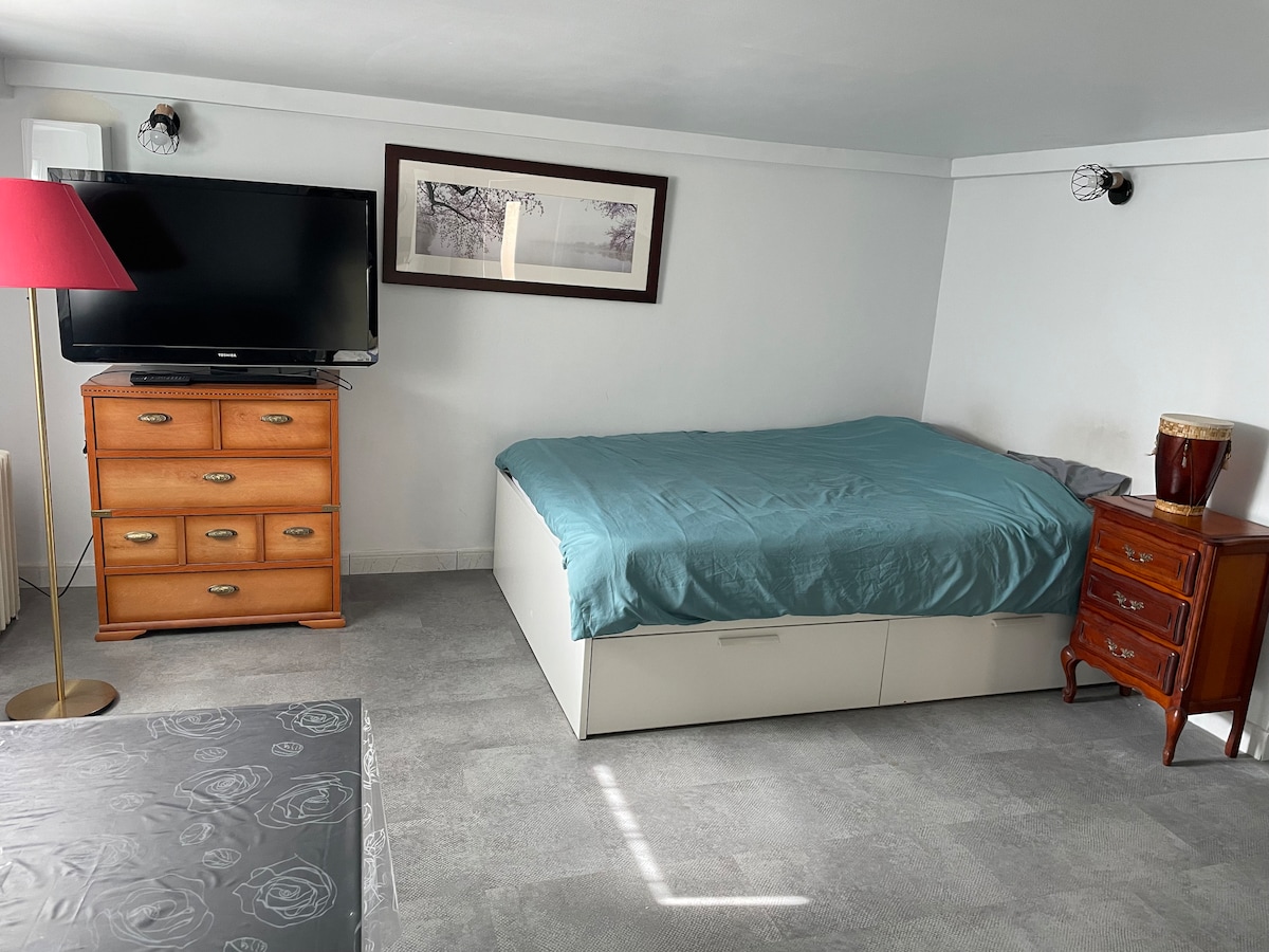 A cozy studio space features a spacious bed with a gentle blue cover, positioned beside a wooden dresser and a bedside table. A television is mounted on the wall opposite the bed, with soft lighting provided by a modern lamp in the corner.