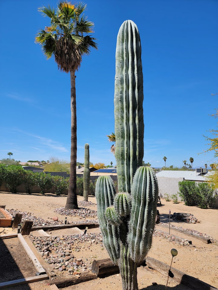 Casa Mutafini; Desert Edition - Phoenix, AZ