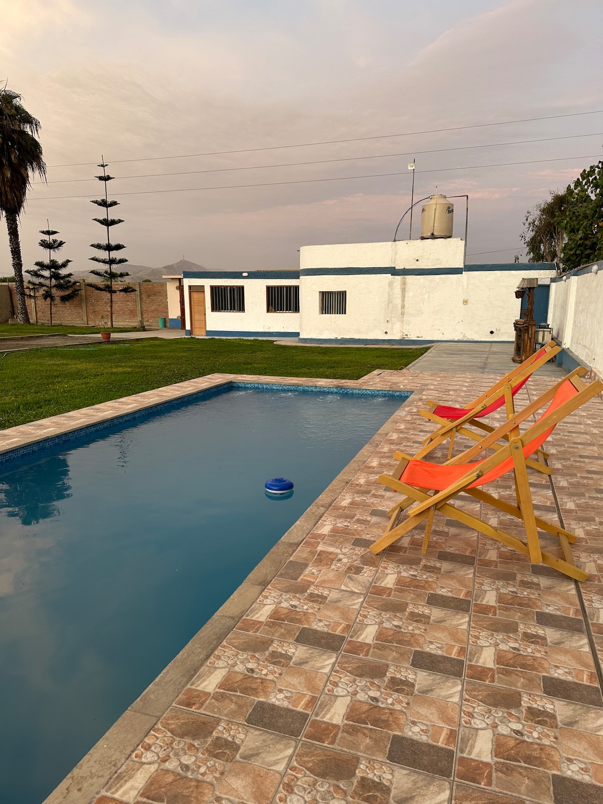 A serene outdoor space is highlighted by a rectangular swimming pool surrounded by tiled flooring. Two wooden lounge chairs in orange are positioned nearby. Green grass and distant palms create a relaxed atmosphere, with a white structure featuring multiple windows visible in the background.