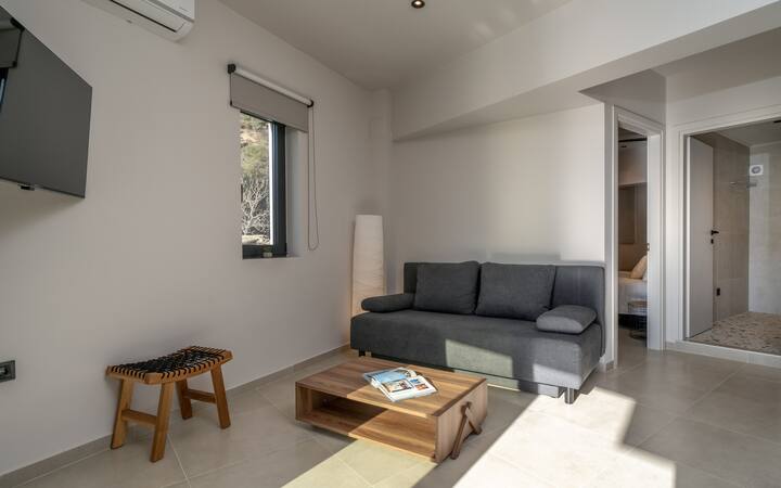 להירגע וליהנות מסרט בספה הנוחה של הדירה!