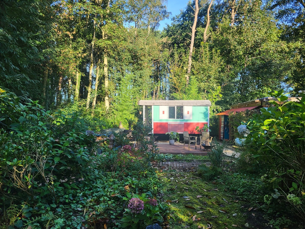 A colorful caravan is nestled among lush greenery, surrounded by towering trees. A wooden deck is visible, featuring outdoor seating and a tranquil atmosphere. The vibrant exterior of the caravan contrasts with the rich, natural surroundings, creating a secluded retreat in nature.
