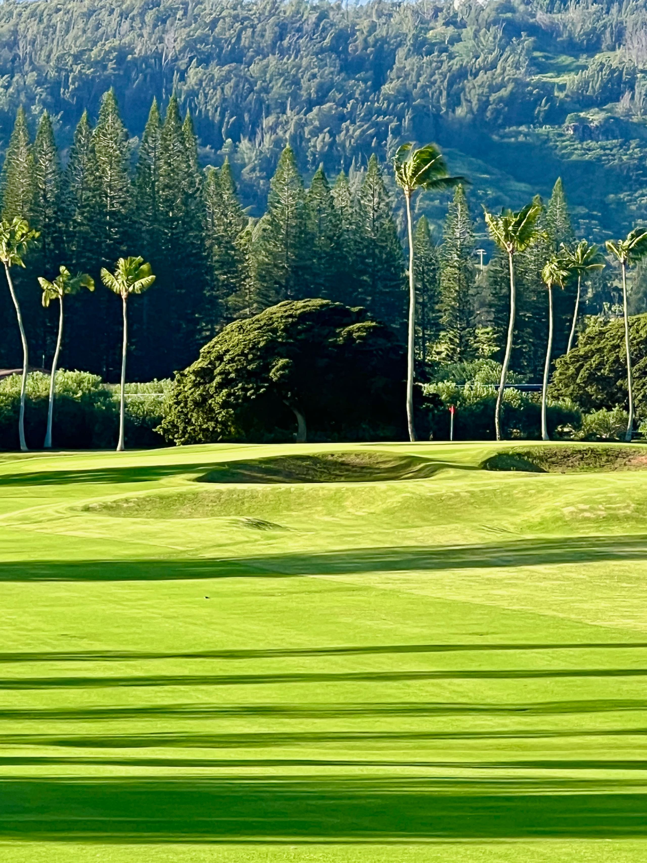 Condo in Kahuku · ★4.96 · 1 bedroom · 3 beds · 1 bath - Image 41