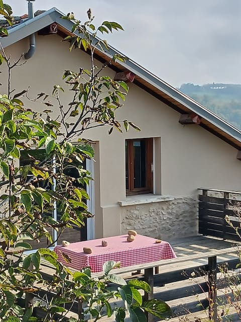 Apartment in a renovated farmhouse