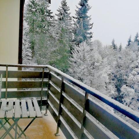 Guest Apartment in Pamporovo