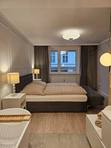 Luxury Apartment with Sauna in City Center gallery image 4