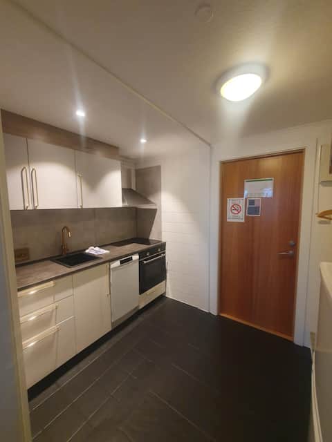 Top performing Airbnb: Studio 1160 in øystre Slidre