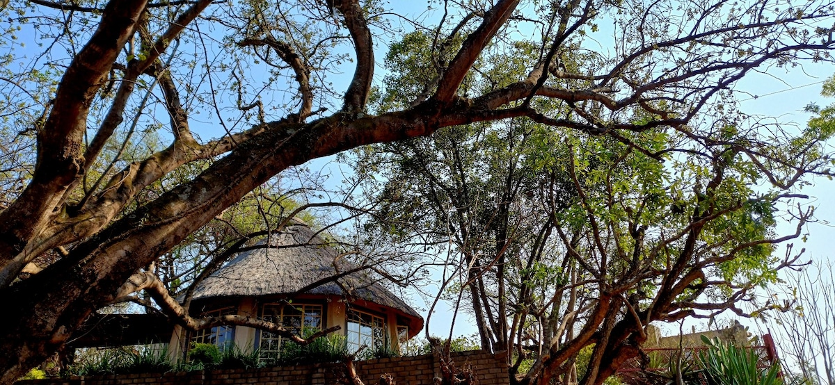 A round thatched roof structure is framed by tall trees with sprawling branches. The building is partially surrounded by greenery, suggesting a harmonious blend with the natural environment under a clear blue sky.