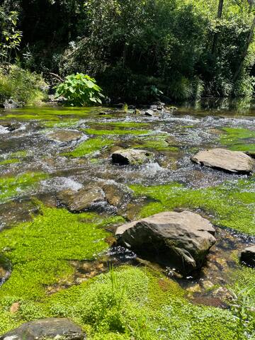 Nulla Creekside Homestead – Spa, up to 8 guests gallery image 2