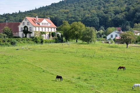Charming apartment in historic estate near Baden-Baden