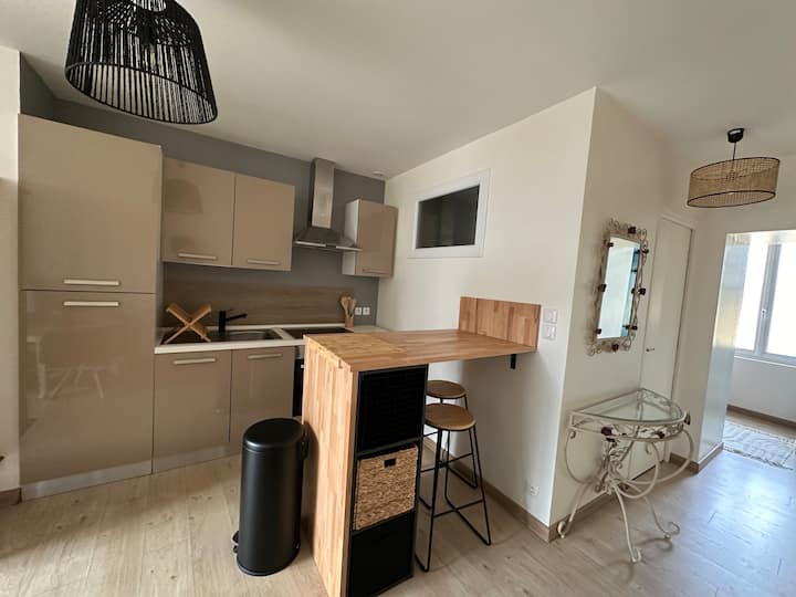 Grand Studio Rénové Blois Centre / Idéal Tourisme - Vineuil