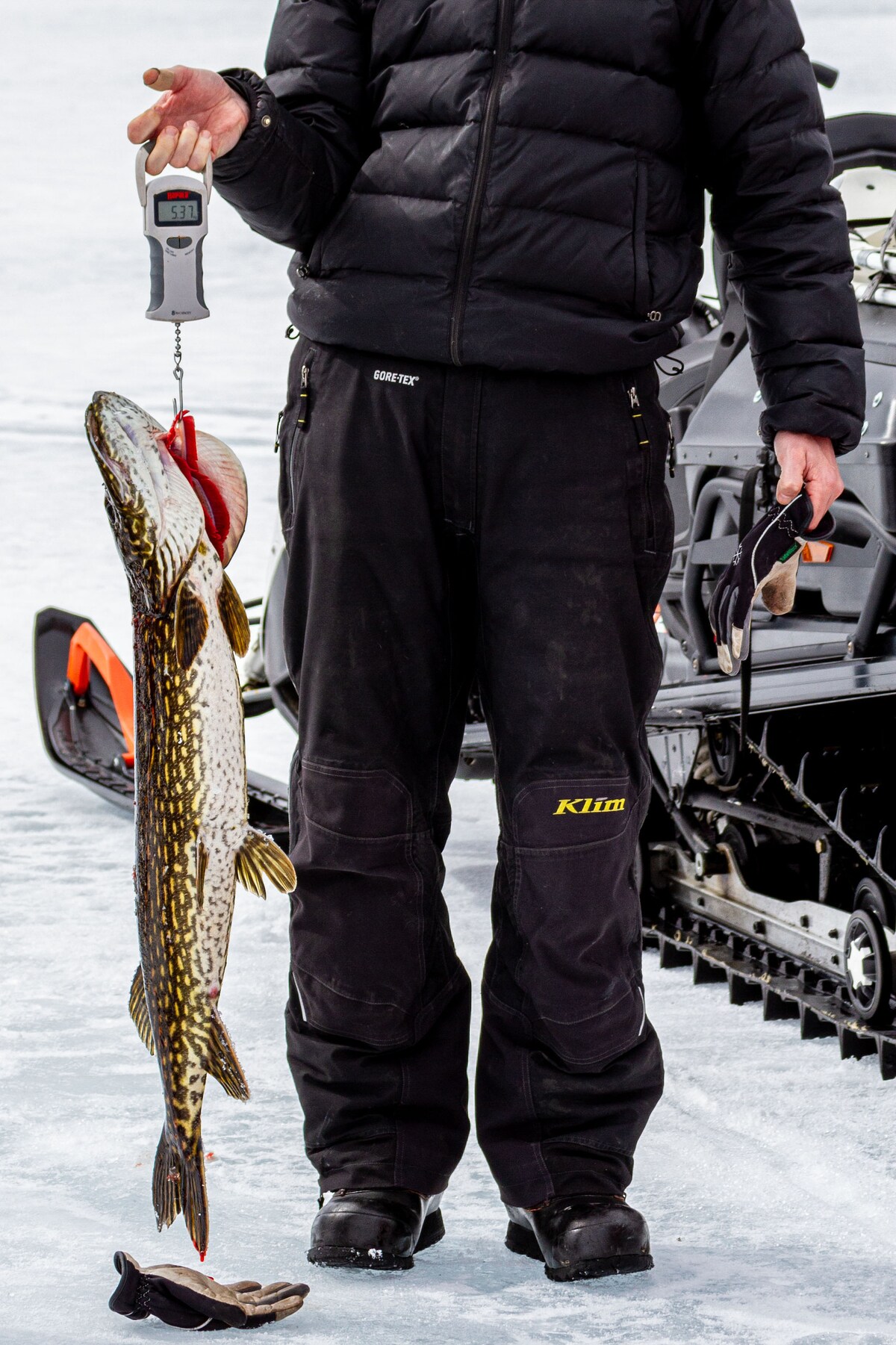 A person stands on the icy surface holding a digital scale showing a large fish. The fish, a northern pike, is displayed prominently, indicating a successful catch. A snowmobile is partially visible in the background, hinting at outdoor winter activities.