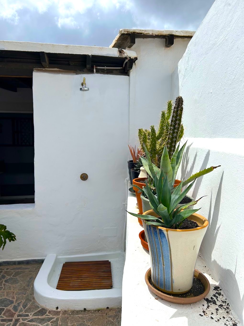 An outdoor area features a stone floor and white walls, with potted plants including cacti and succulents arranged along a ledge. A shower fixture is mounted on the wall, and a wooden slatted platform is placed nearby, inviting a refreshing experience.