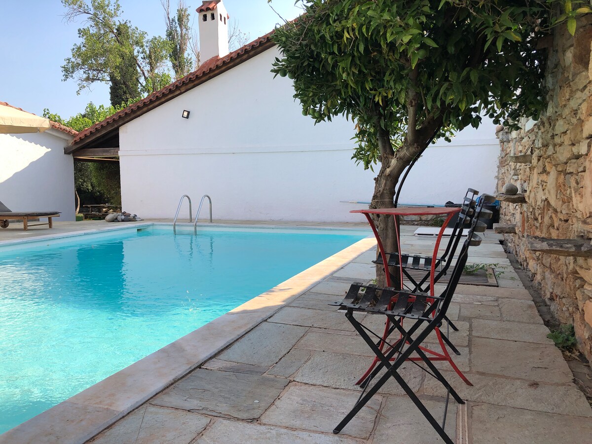 A serene outdoor space features a sparkling pool surrounded by a stone patio. Two black chairs and a small table are positioned under a tree, providing a shaded area for relaxation. The villa's structure is partially visible in the background.