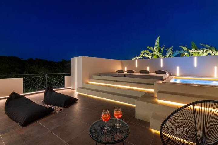 Hamilton Elite Penthouse gallery image 5