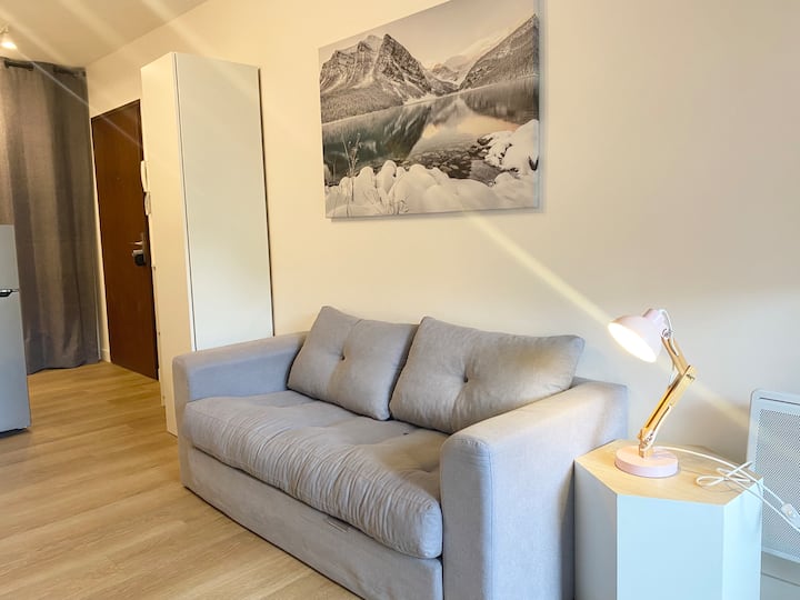Balcon D'albigny ¤ Proche Lac & Vue Montagne - Annecy
