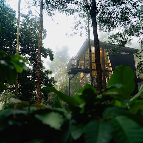 LushEarth Glass house homestay in Wayanad