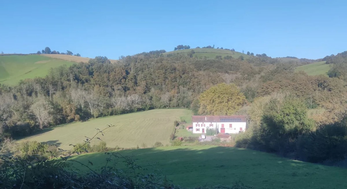 Vue extérieure de la maison Picatzia