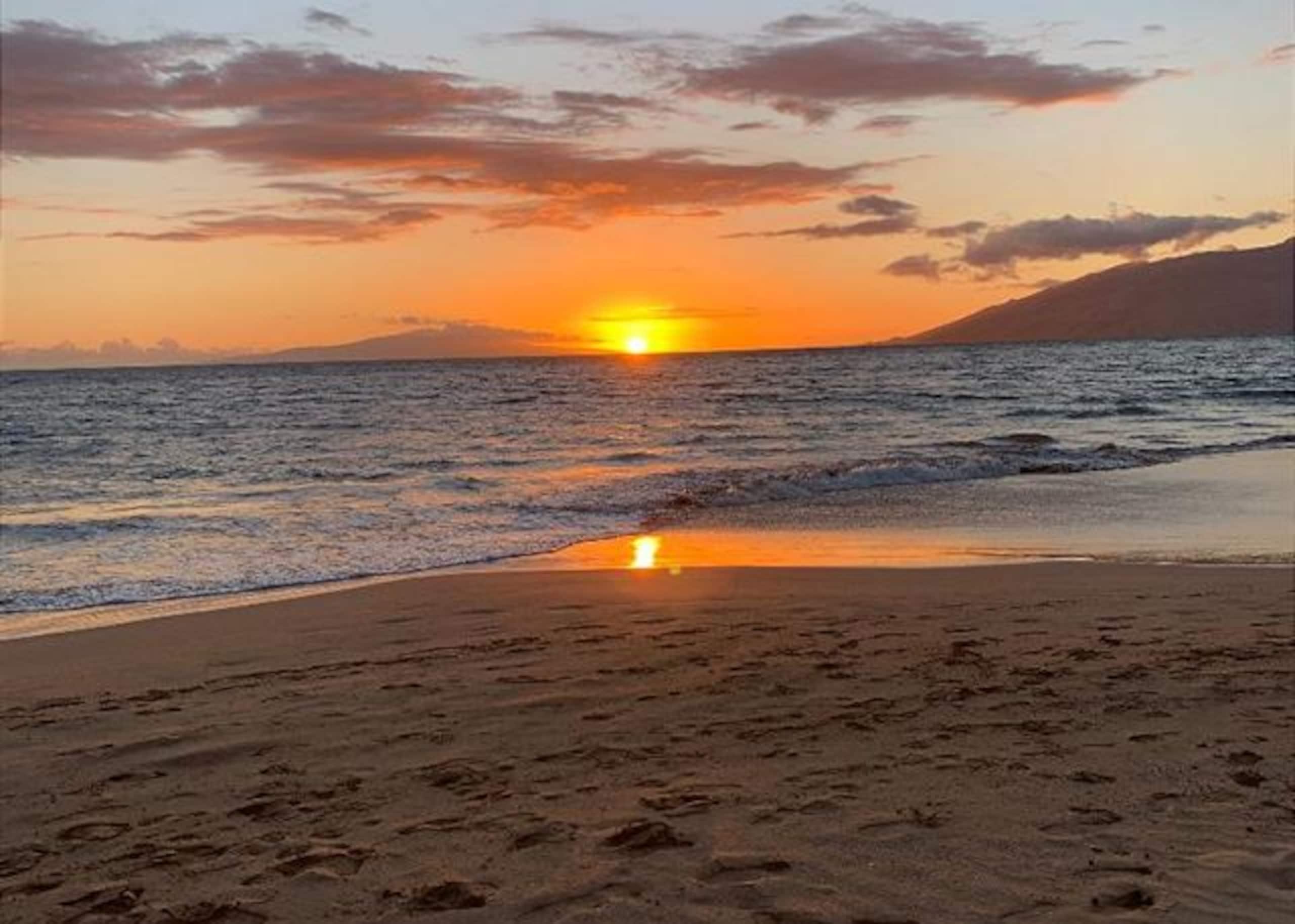 Condo in Kihei · ★4.93 · 1 bedroom · 2 beds · 1 private bath - Image 38