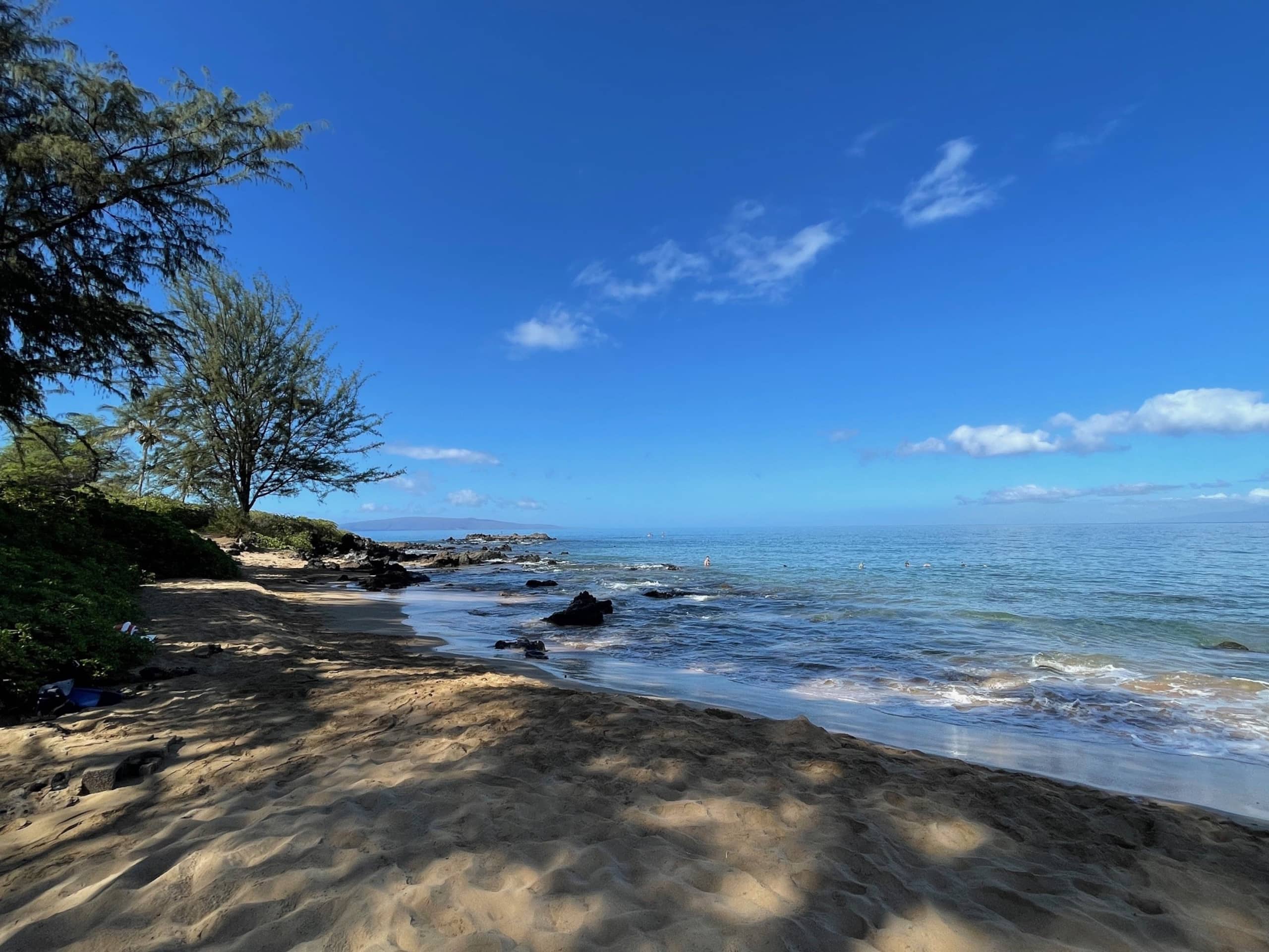 Condo in Kihei · ★4.93 · 1 bedroom · 2 beds · 1 private bath - Image 39