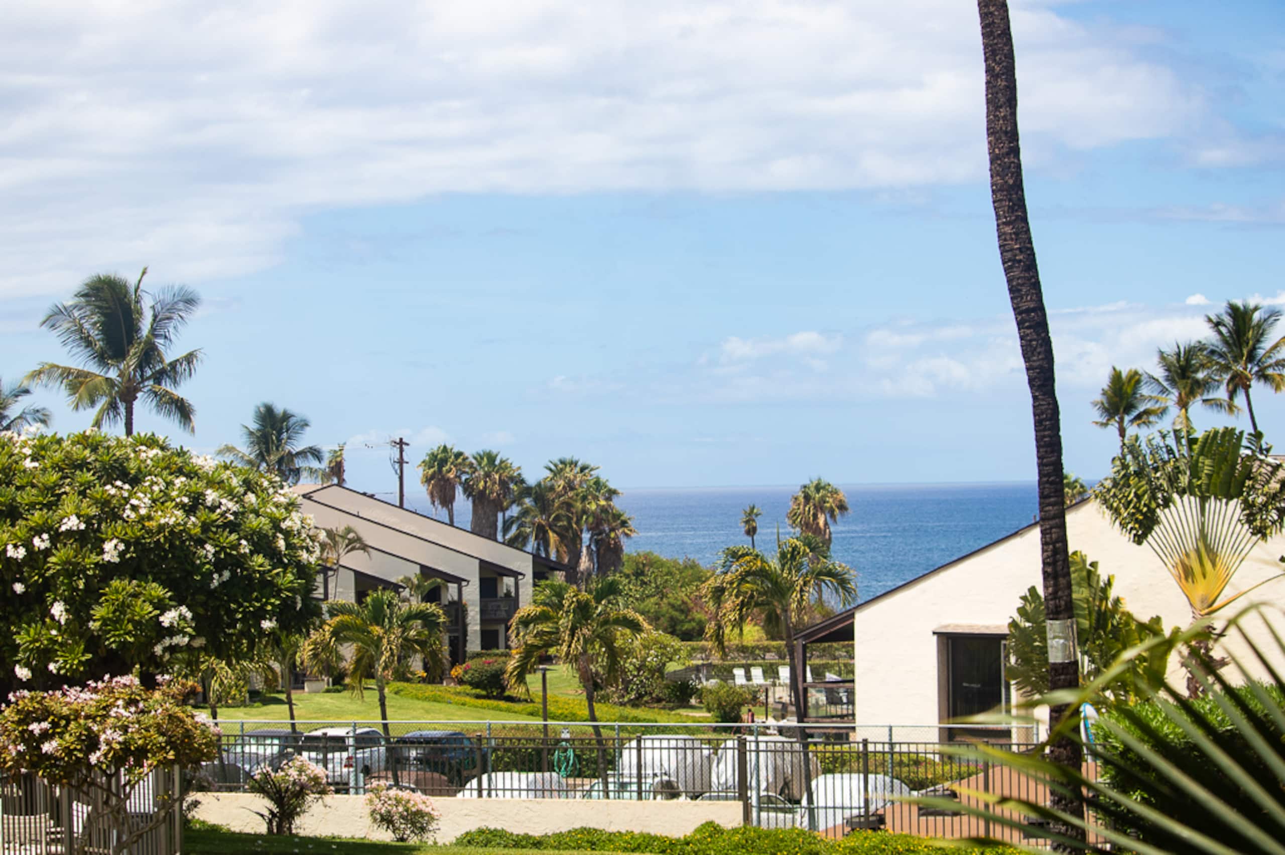 Condo in Kihei · ★4.93 · 1 bedroom · 2 beds · 1 private bath - Image 41
