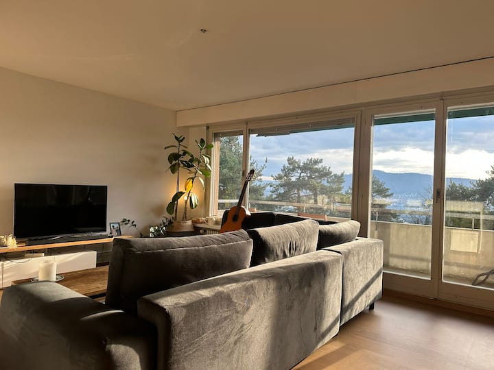 Lovely And Quiet Flat, 15 Minutes From City Center - Zurich, Switzerland